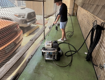 Thumbnail for Catio Painting, Shelf Replacement & Cat Enrichment Day