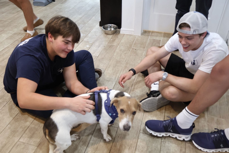 Community Outreach & Pet Care Education